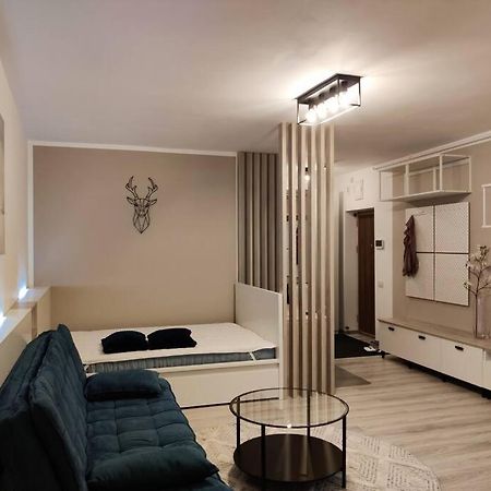 Joy City Stay Vivalia V6A-41 Timisoara Ngoại thất bức ảnh